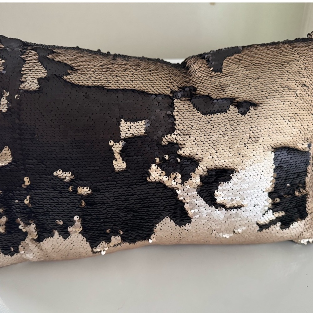 Aviva Stanoff SET of pillow reversible sequins. Brush the sequins. - Picture 2 of 6